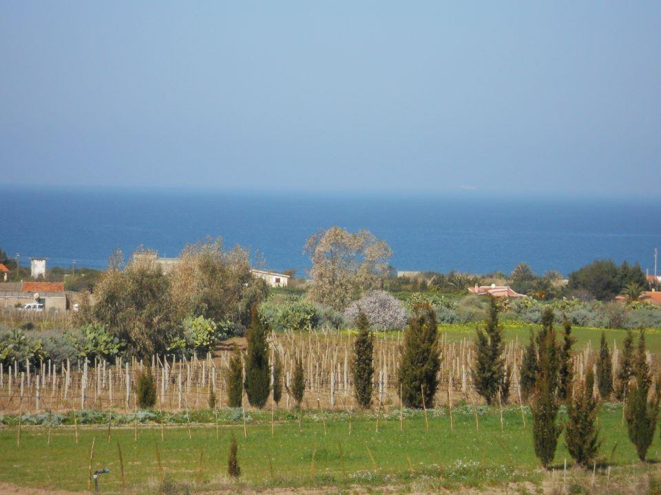 Agriturismo Tres Montes ซอร์โซ ภายนอก รูปภาพ